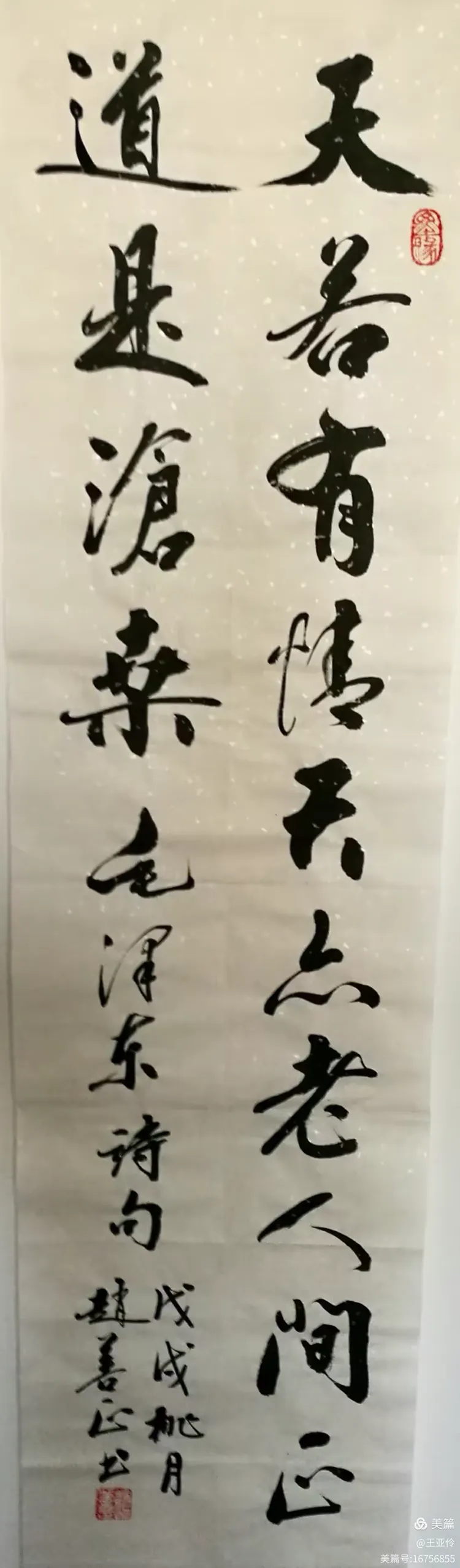 中国书法艺术家赵善正先生书法作品欣赏 编辑 王亚伶